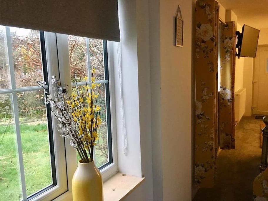 Daffodil House , West Wales Llandovery Zewnętrze zdjęcie