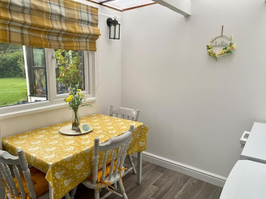 Daffodil House , West Wales Llandovery Zewnętrze zdjęcie